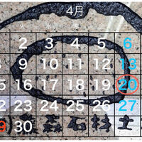 業務内容や日々の出来事などを発信