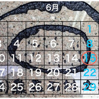 業務内容や日々の出来事などを発信